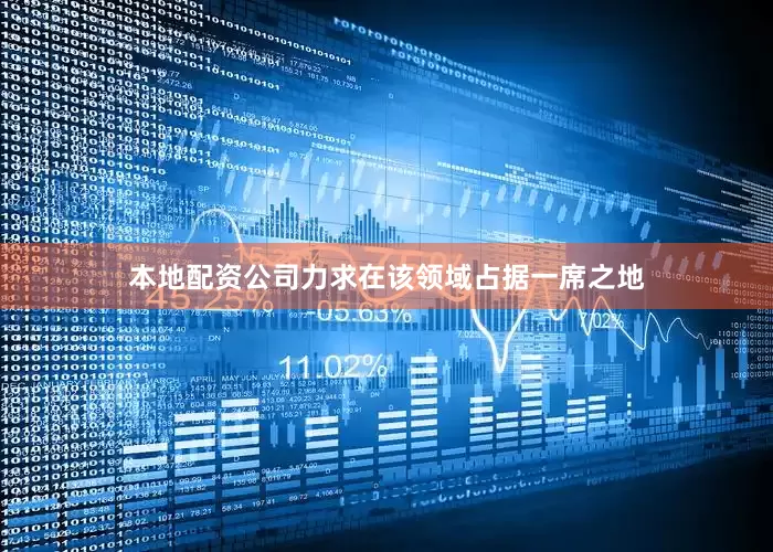 本地配资公司力求在该领域占据一席之地