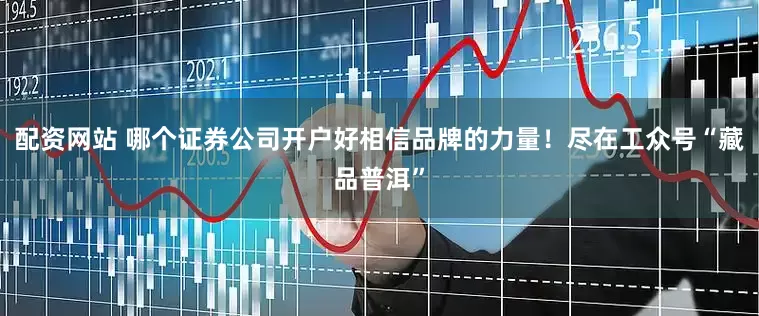 配资网站 哪个证券公司开户好相信品牌的力量！尽在工众号“藏品普洱”