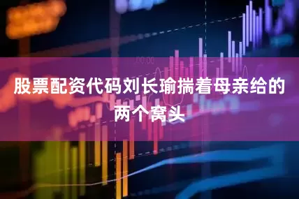 股票配资代码刘长瑜揣着母亲给的两个窝头