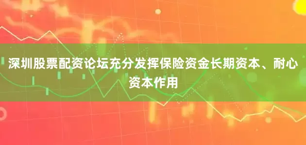 深圳股票配资论坛充分发挥保险资金长期资本、耐心资本作用