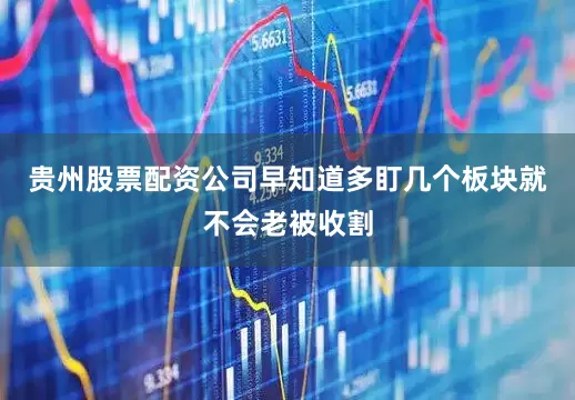 贵州股票配资公司早知道多盯几个板块就不会老被收割