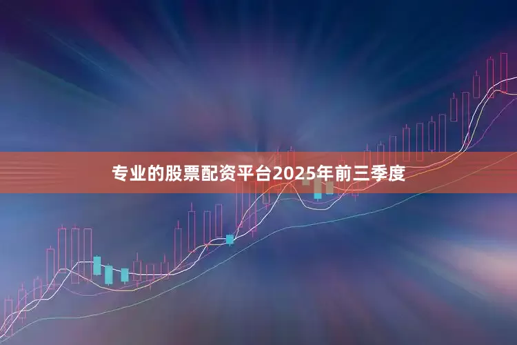 专业的股票配资平台　　2025年前三季度
