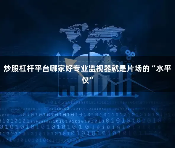 炒股杠杆平台哪家好专业监视器就是片场的“水平仪”